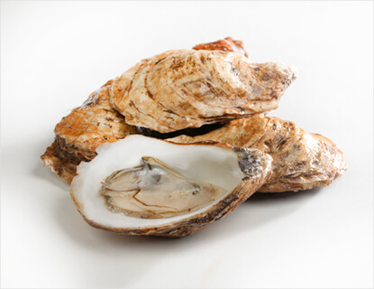 Seafood sustainability oyster