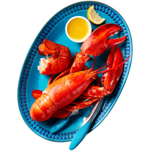 cooked fresh lobster on a large blue platter with butter and a lemon slice